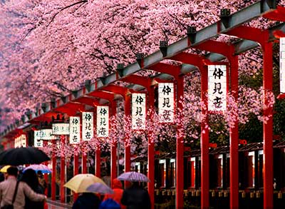 Japan