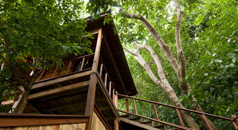 TREE TOP CHALET