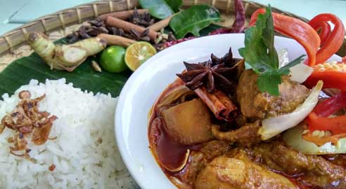 Kinabalu Park highlight