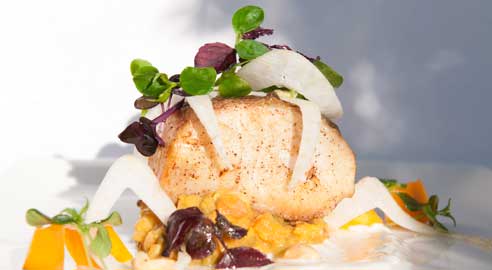 SEEDS Restaurant & Lounge highlight