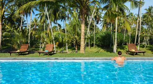 Ambarella Lodge & Spice Garden highlight