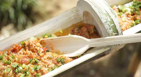 Phu Chaisai Mountain Resort highlight