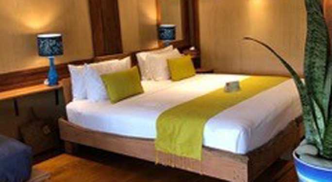 Lotus Room (5 units)