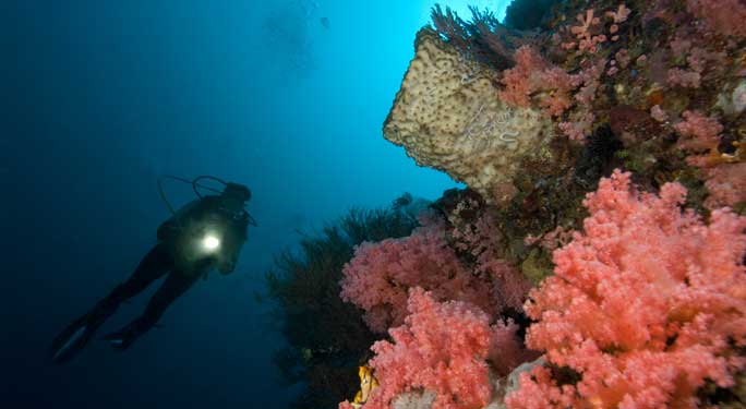 Gangga Island Resort & Spa highlight