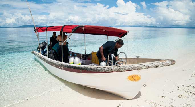 Papua Paradise Eco Resort highlight