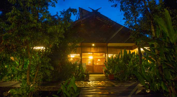 Rimba Orangutan Ecolodge highlight