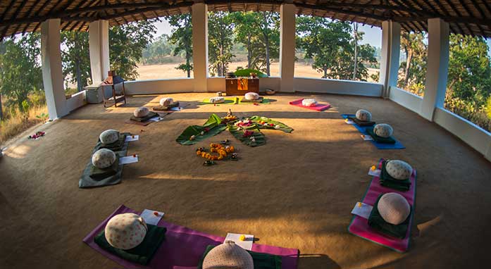 Flame of The Forest Safari Lodge highlight