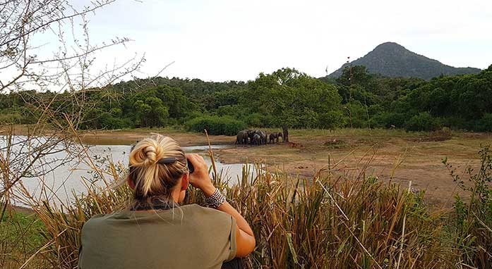 Tree Tops Jungle Lodge highlight