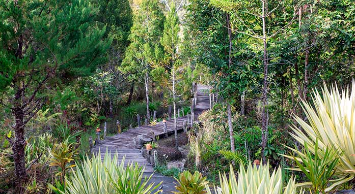 The Baliem Valley Resort highlight