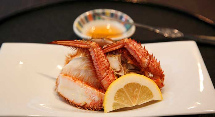 Takinoya Ryokan highlight