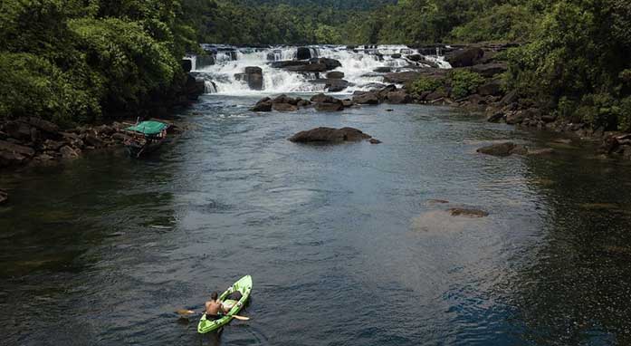 Canvas and Orchids highlight