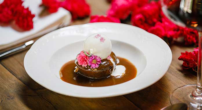 Terra & The Farmers’ Bar highlight