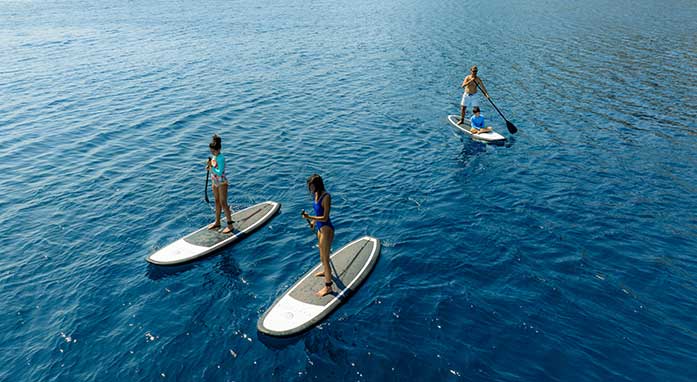 Celestia Yacht highlight