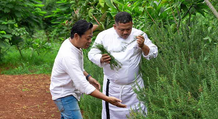 Echo Dining highlight