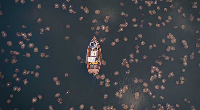 Shri Joraver Vilas highlight