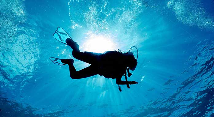 Metita Beach & Dive Resort highlight