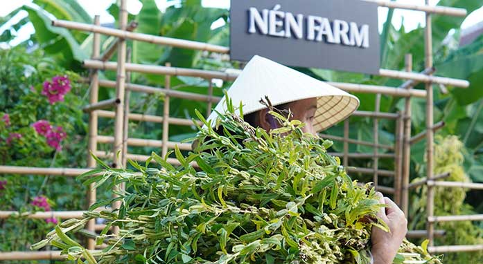 Nén Danang Restaurant highlight